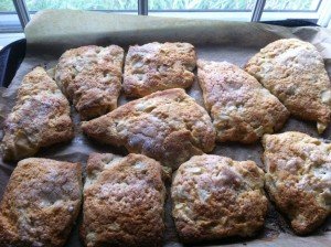 Baked apple cheddar scones